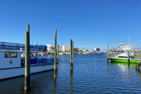 beautiful boats