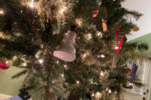do-not-eat tree