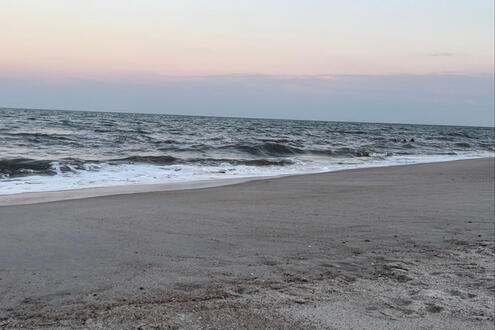 pokey beach