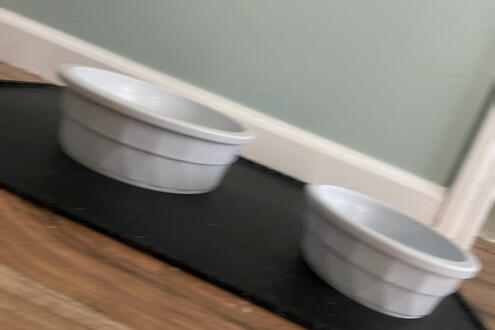 bowl