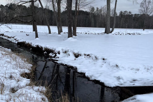 slidey snow